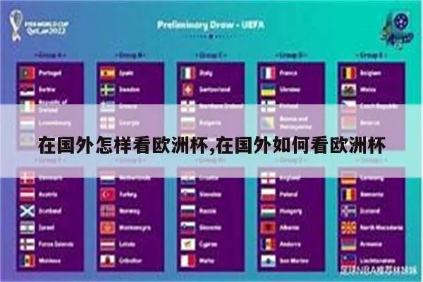 在国外想看欧洲杯 怎么在国外看欧洲杯-第3张图片-www.211178.com_果博福布斯