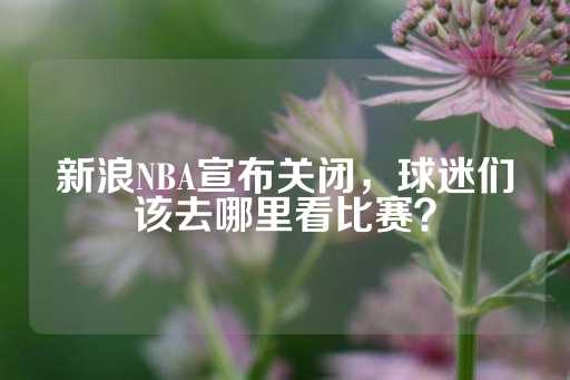 新浪NBA宣布关闭，球迷们该去哪里看比赛？-第1张图片-皇冠信用盘出租