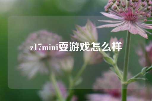 z17mini耍游戏怎么样