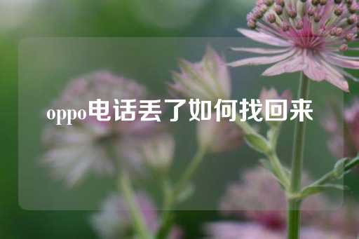 oppo电话丢了如何找回来